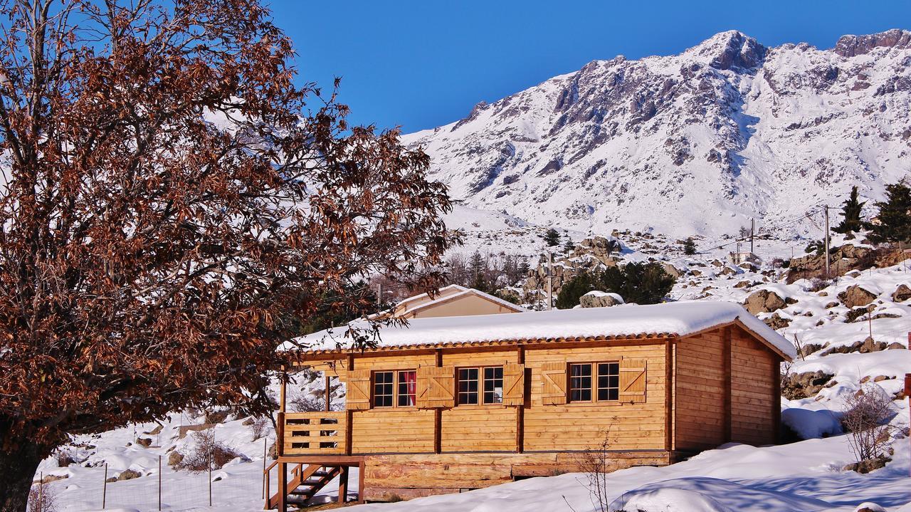 Les Chalets De Lozzi Calacuccia Exterior photo