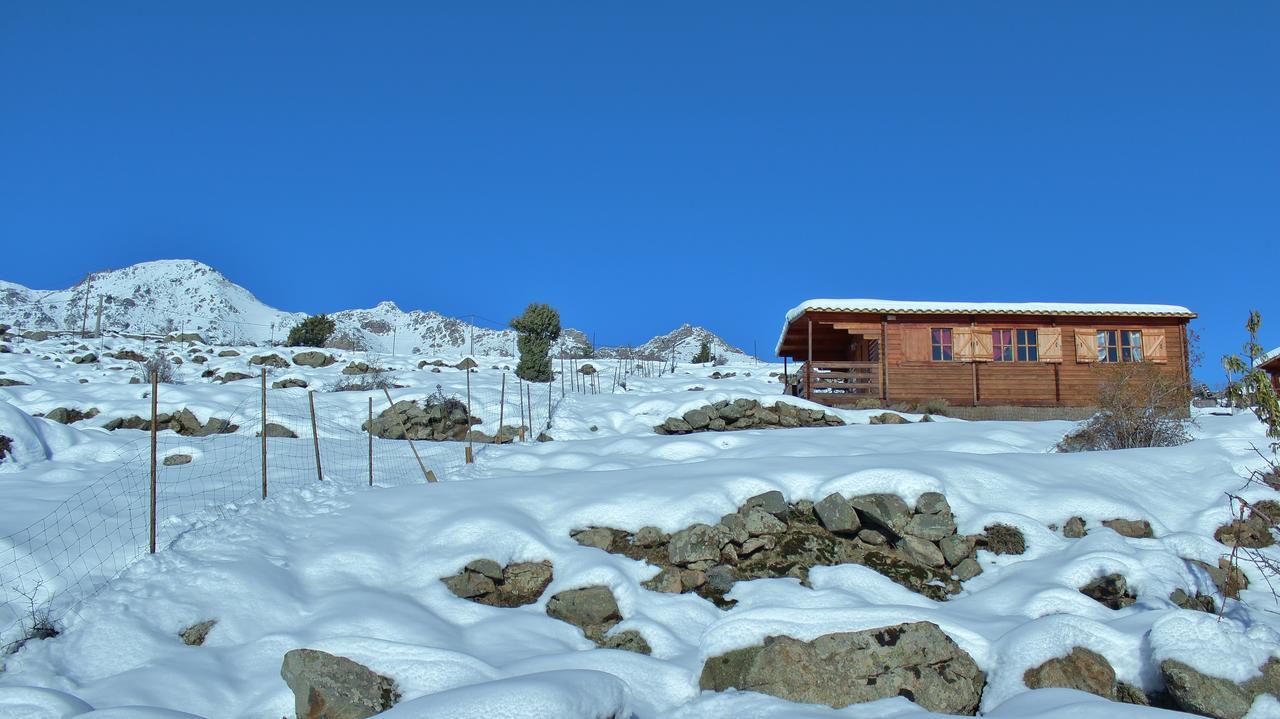 Les Chalets De Lozzi Calacuccia Exterior photo